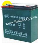 Ắc quy TIANNENG 6-DZM-20( 12V/20Ah)